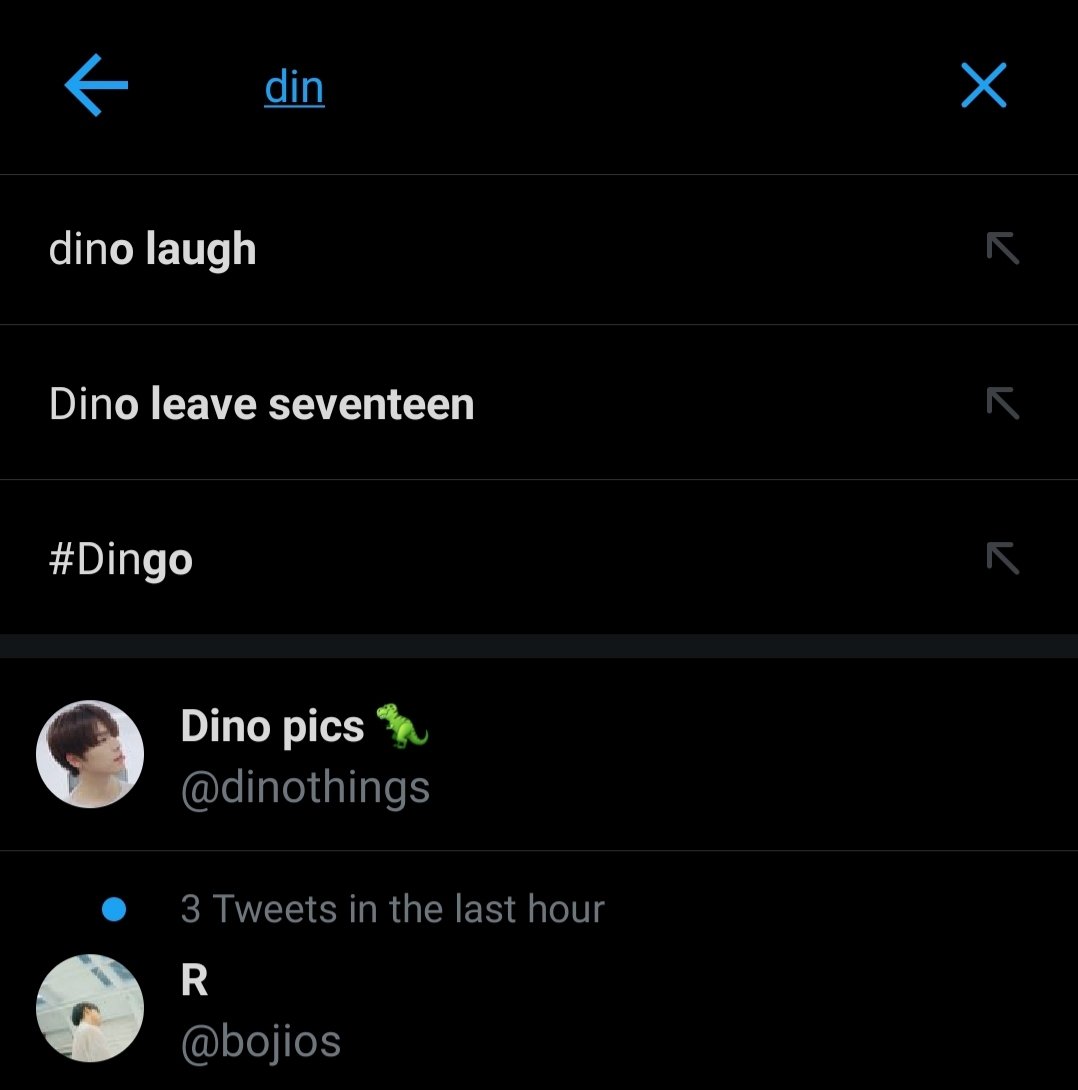 Many dinonaras, including myself, plead with other carats to help us report this terrible account. As a result, the Dino search was tainted for hours because of reckless censorship. This was the second thing that popped up when you typed his name.