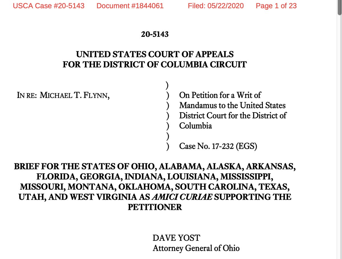 BREAKING: Buncha GOP state Attorneys General file Amicus Brief in Flynn case to...oppose Watergate Prosecutors...from filing...Amicus Brief...in Flynn case.   https://ecf.cadc.uscourts.gov/n/beam/servlet/TransportRoom?servlet=CaseSummary.jsp&caseNum=20-5143&incOrigDkt=Y&incDktEntries=Y