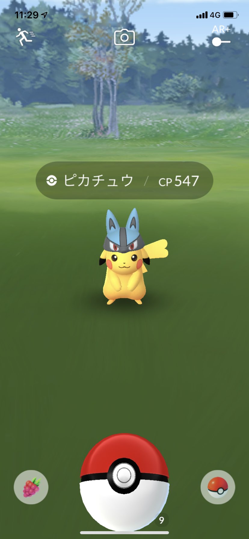 ポンデ ゲッコウガ 趣味アカ Greninja Twitter