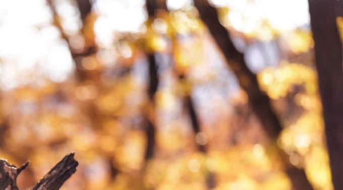 コスプレイヤーEllyのTwitter画像33