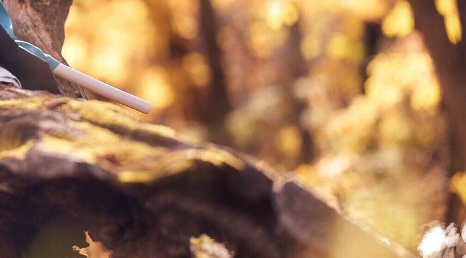 コスプレイヤーEllyのTwitter画像35