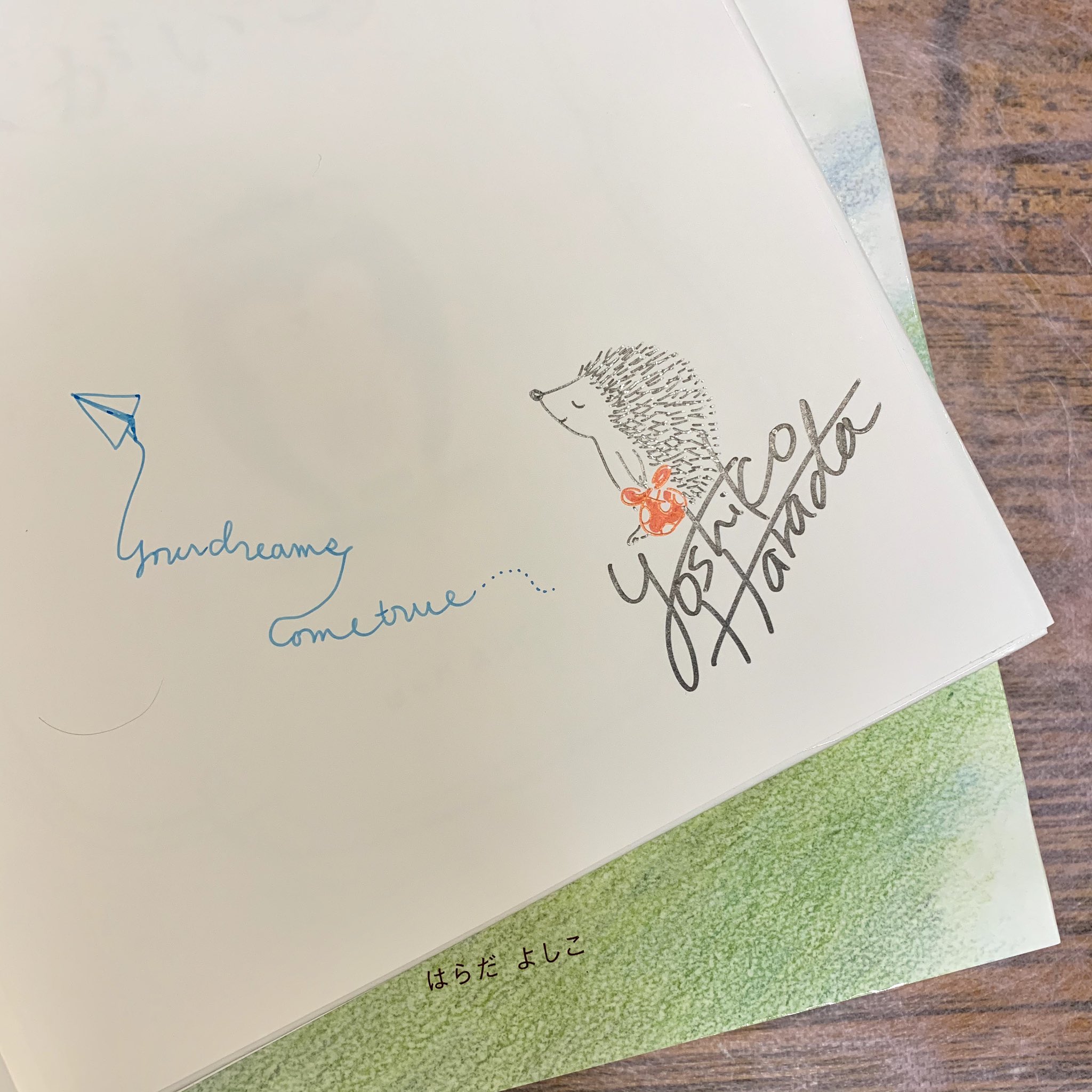 まつもととしこ ♡ はらっぱgarden* 　サイン入り原画　額装品 NORTH HORIZON〈ポストカード12枚セット〉 | 拓真館 TAKUSHINKAN