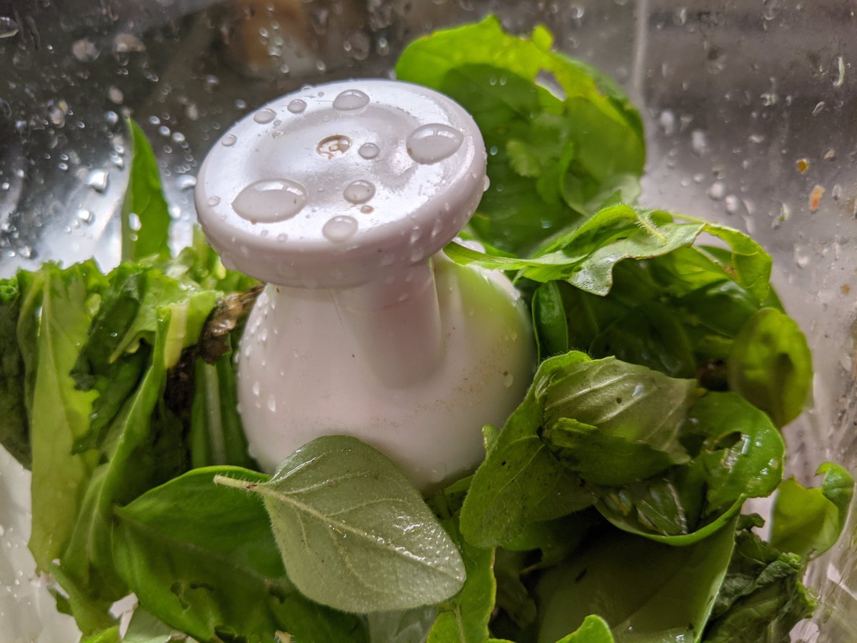 Nice post-workout meal that uses fresh basil from garden, leftover spaghetti from last night + olive oil #getyourgreens #nofoodwaste #growyourown #garden #quickhealthymeal #mottainai