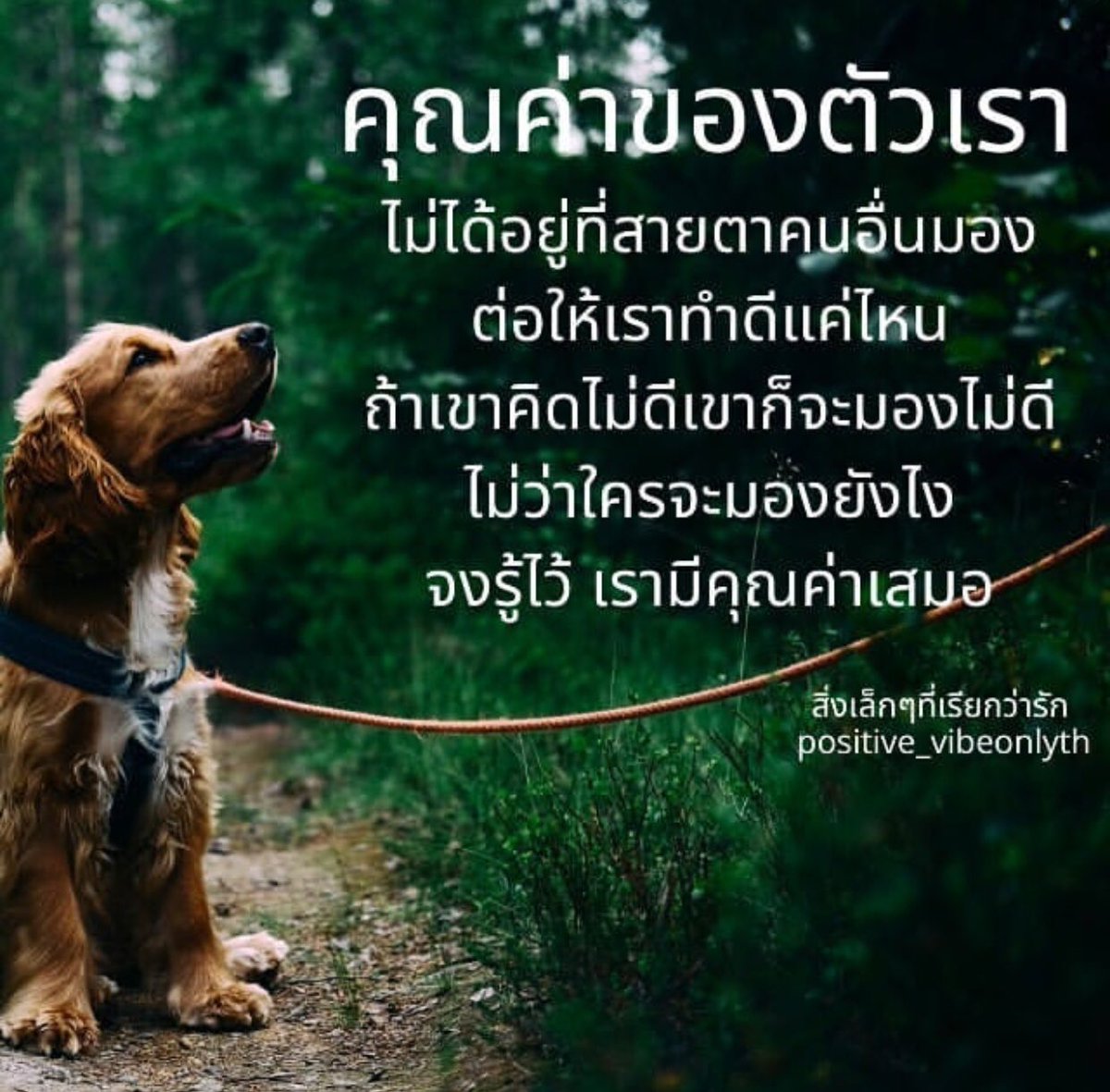 ทางของฉัน#ฝันของเธอ on X: ทางของฉัน#ฝันของเธอ On X:
