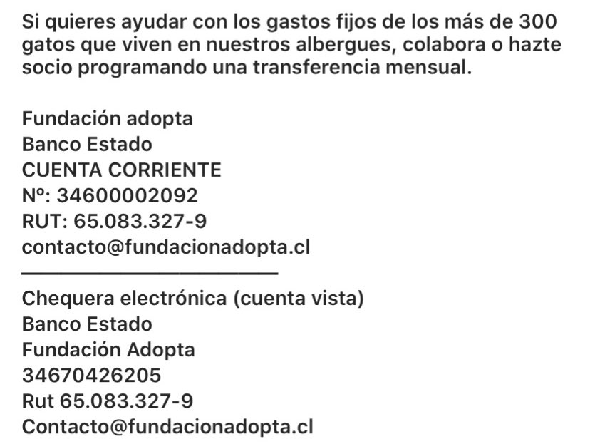 EvopoliAnimal's tweet photo. En estos días de pandemia, algunos colaboradores han suspendido o reducido sus donaciones, viene el invierno y es cuando más necesitan, por favor ayuden a esta noble fundación  https://t.co/FFny8VAKf8… https://t.co/v4XkDaQTVJ