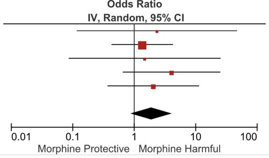 Mythsin  #ACS 3/5 “IV  #morphine in pts w/ #ACS still in pain is safe”: controversial! #morphineabsorption & delays onset  #P2Y12 inhibitorsRegistries STEMI SANREMO,FAST-MI,syst review: = outcomes among  #ACS pts w/ or w/o morphine.Time 4 RCT? https://bit.ly/2XfC4we 