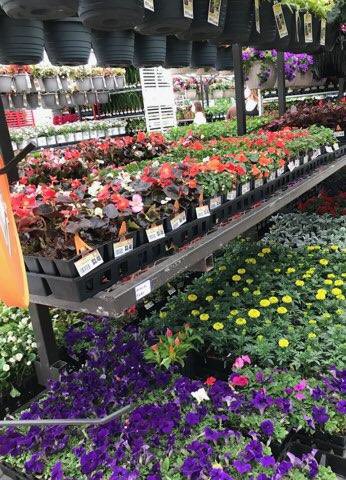 Thank you to our GREAT Plant Partner Team for their tireless work in insuring our customers have the freshest nursery product available! Want great color in your yard? Visit a Lowe’s store this Memorial Day Weekend! And if you’re near Lowe’s of Hamilton, NJ come in and see us!