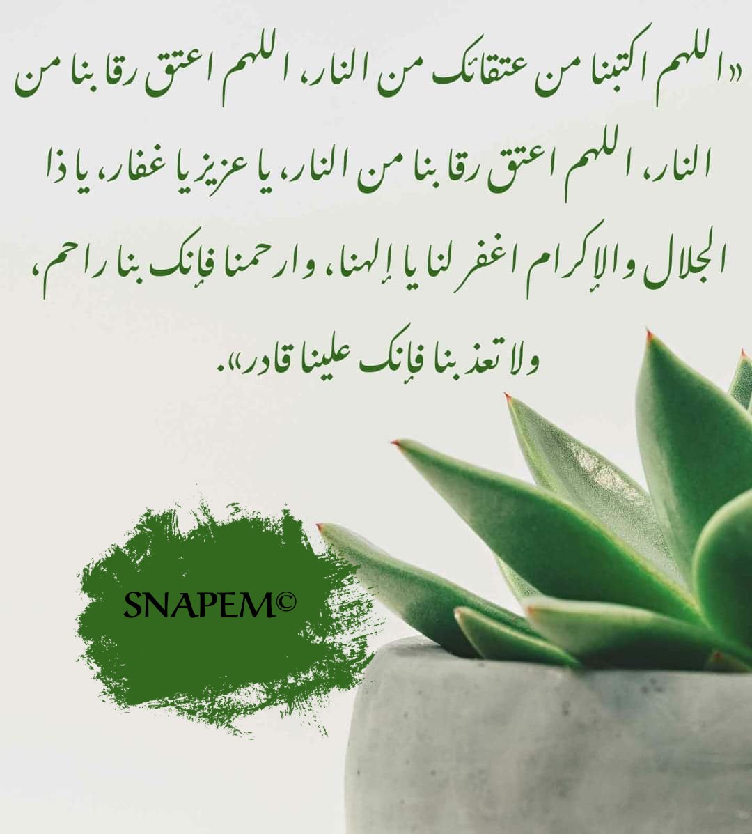 SNAPEMALGERIE21's tweet photo. #snapem https://t.co/SlTYEXJ3WX