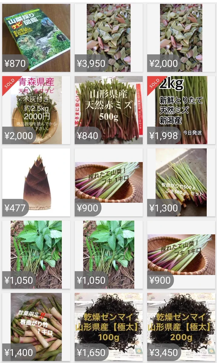 ホットケーキの次は山菜！？とても危険！皆さん気をつけて！