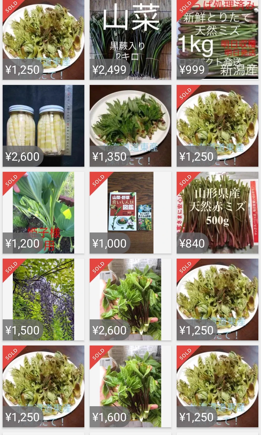 ホットケーキの次は山菜！？とても危険！皆さん気をつけて！