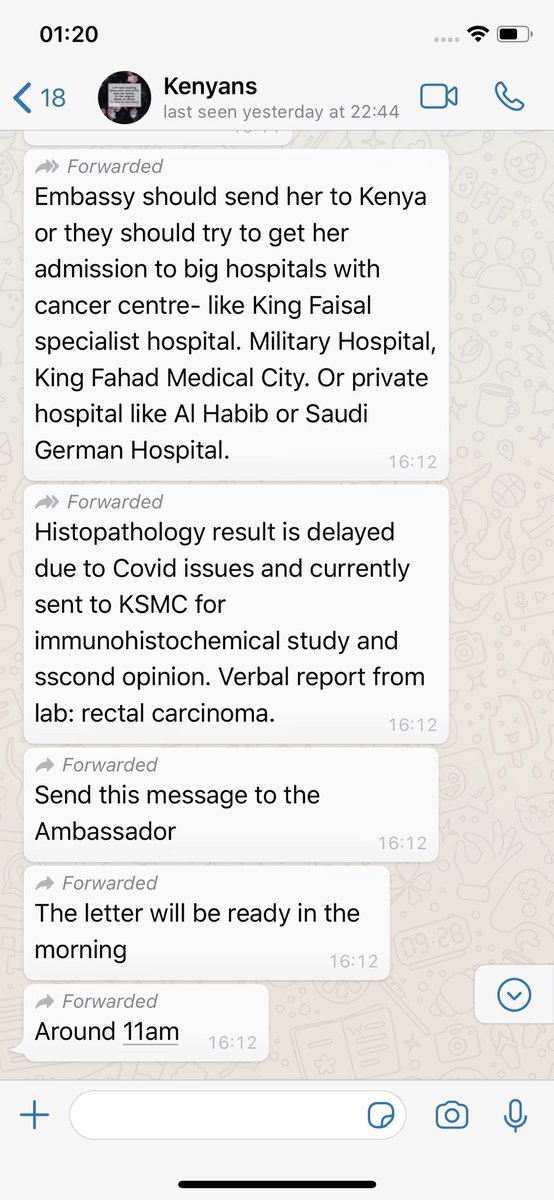 kenyans_saudi's tweet photo. It is in deep contention that we are in squal for succour on behalf of our sister. Our kenyan embassy in Riyadh Saudi Arabia. Who is accountable for this? Who do we wail to for help? #SaveNjeri @MikeSonko @InteriorKE @WilliamsRuto @MikeSonko @FirstLadyKenya @ImmigrationDept https://t.co/8FdzSTaurk