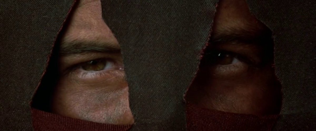 Is it just me, or are these eyes – which are supposed to belong to young Alejandro – the eyes of a grown man? Is it possible they actually used Banderas for this shot? If so, nice, subtle move. #vulturemovieclub  #maskofzorro