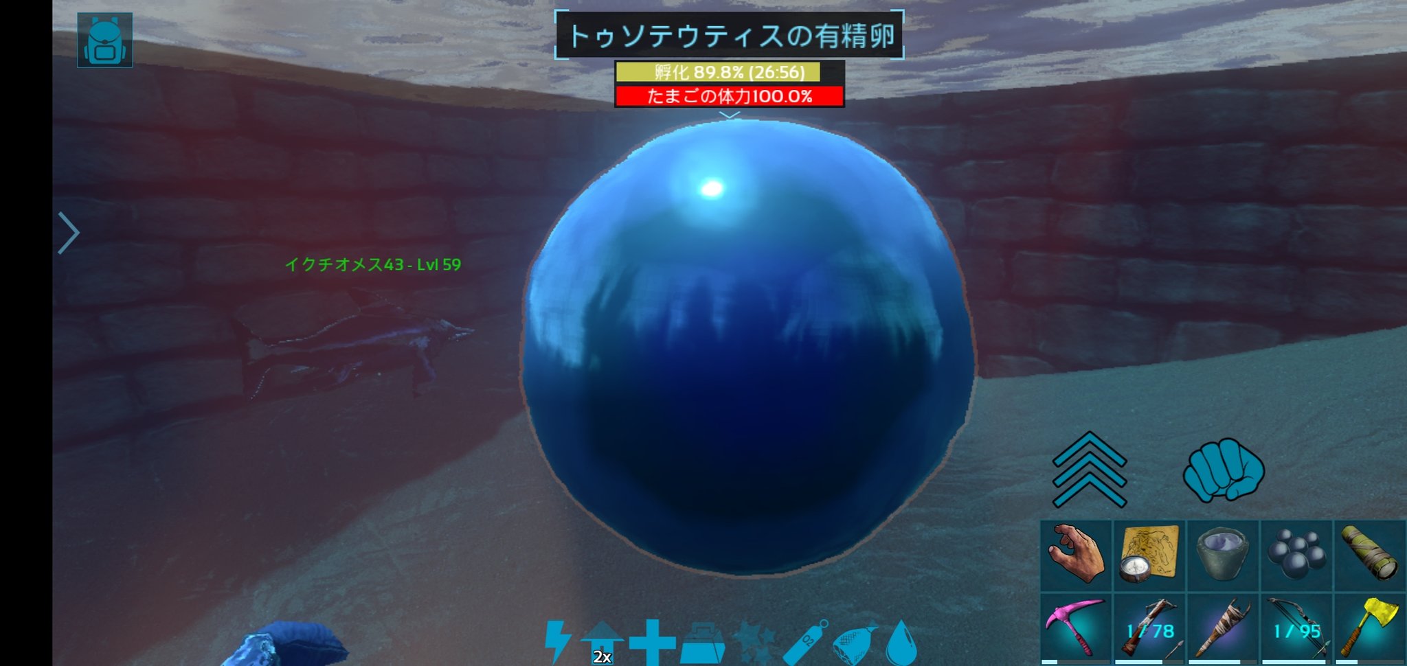 טוויטר オニオンスープ בטוויטר イカのブリーディング始めました 卵デカっ Arkモバイル T Co 0bjeflvkzr
