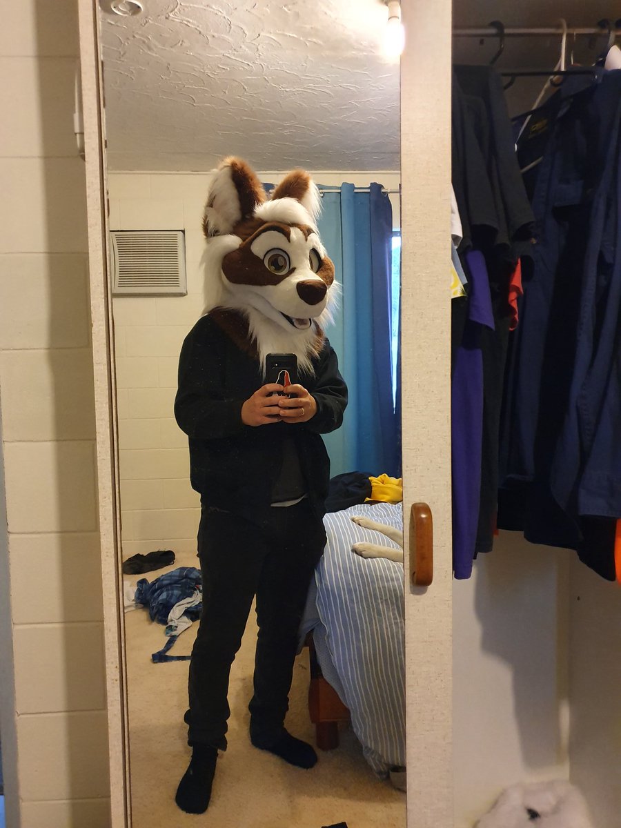 HuskyKiro's tweet photo. Its cold today, gotta find something to keep my face warm. Work should be fine with it right? https://t.co/pjV7CJRlPS