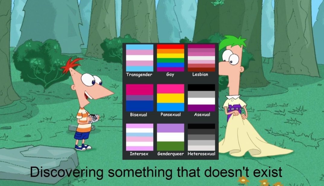 this image is rly funny to me because they invalidated every sexuality. no more sexualities for anyone