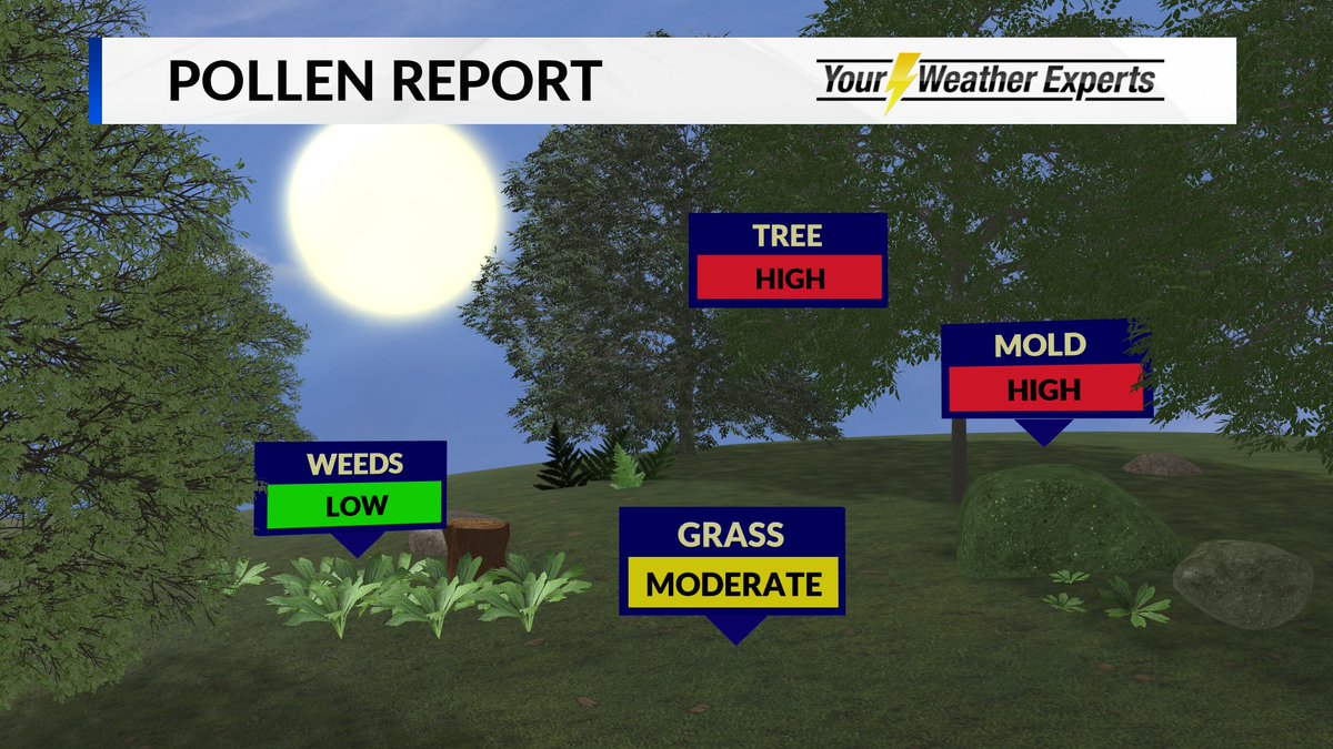 BethFinelloWx's tweet photo. POLLEN REPORT: Here is your Friday pollen report. #kolr10wx #mowx #pollenreport https://t.co/GpCrkb3thX