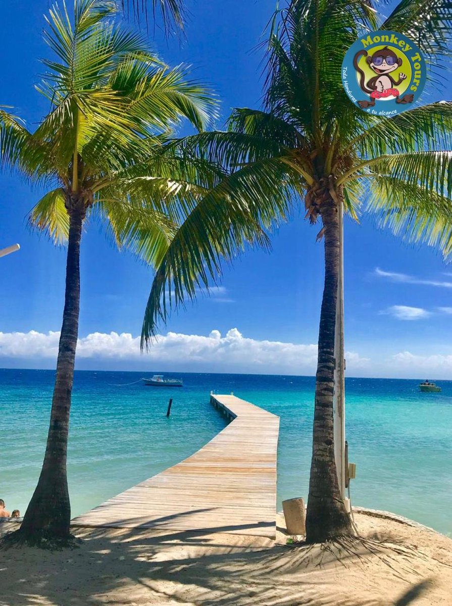 MonkeyTours's tweet photo. Neptunes, Utila
Tirarse de ese puente a tu mar será todo un poema! 🤩🏝🇭🇳
Monkey Tours 🐒
-
#utila #utilaisland #utilanation #utilahonduras #utilavibes #monkeytours #viajesporelmundo #viajesinolvidables #viajesyturismo #honduraspost #honduras #utilalove #viajesenfamilia https://t.co/yJ40vMblDc