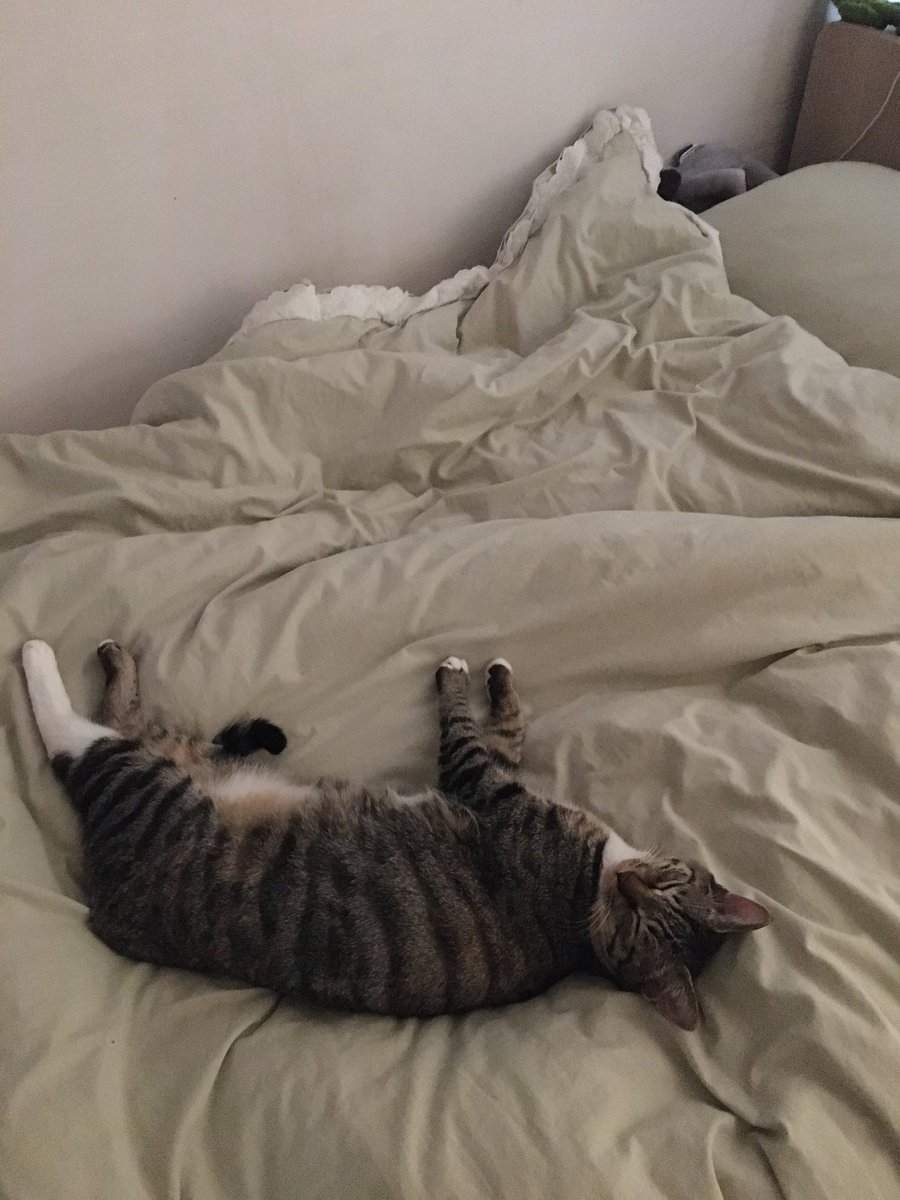 오늘은 알바때 멍때리지 말고 사진 정리라도 할 것