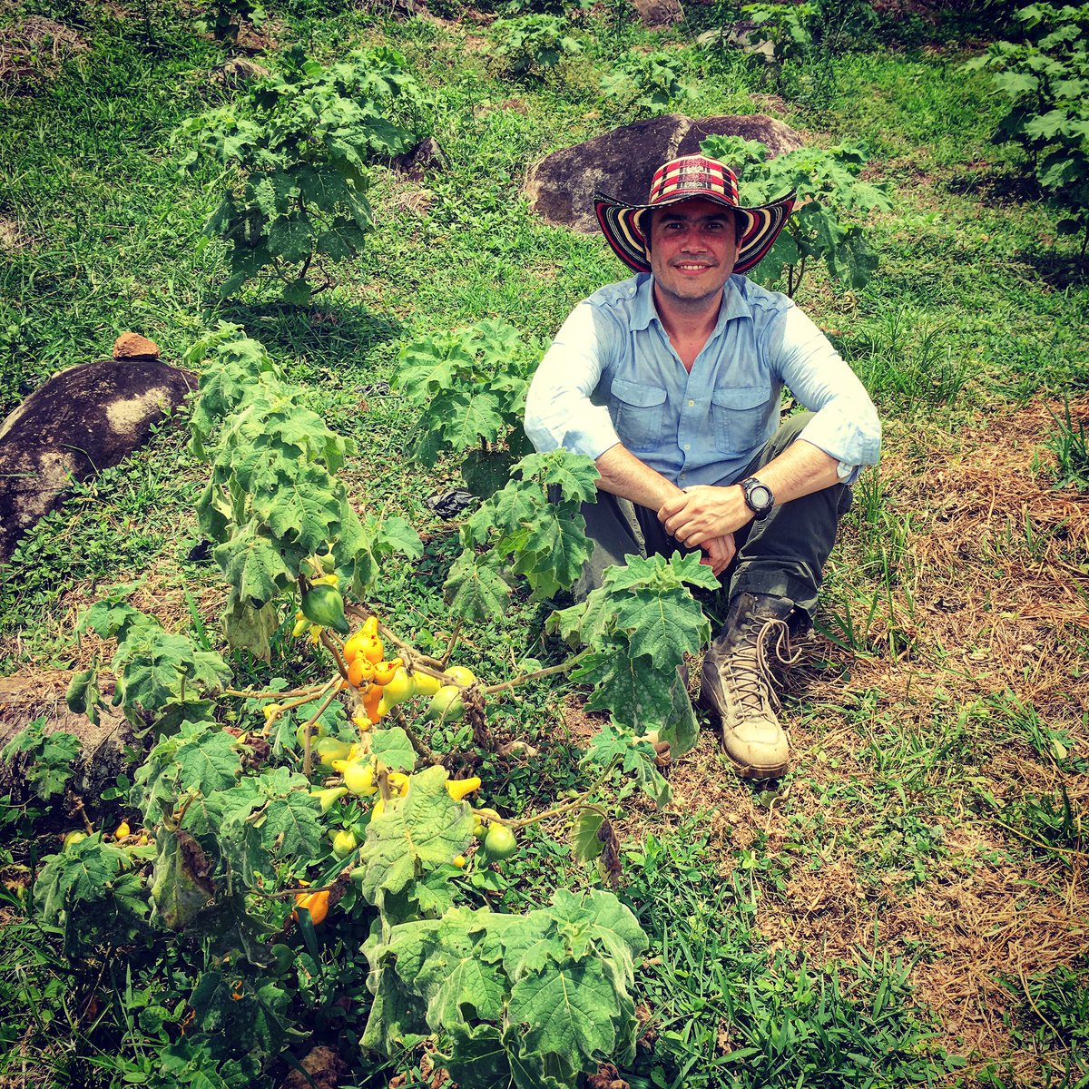 The future is green🌱                             Happy biodiversity’s day😊