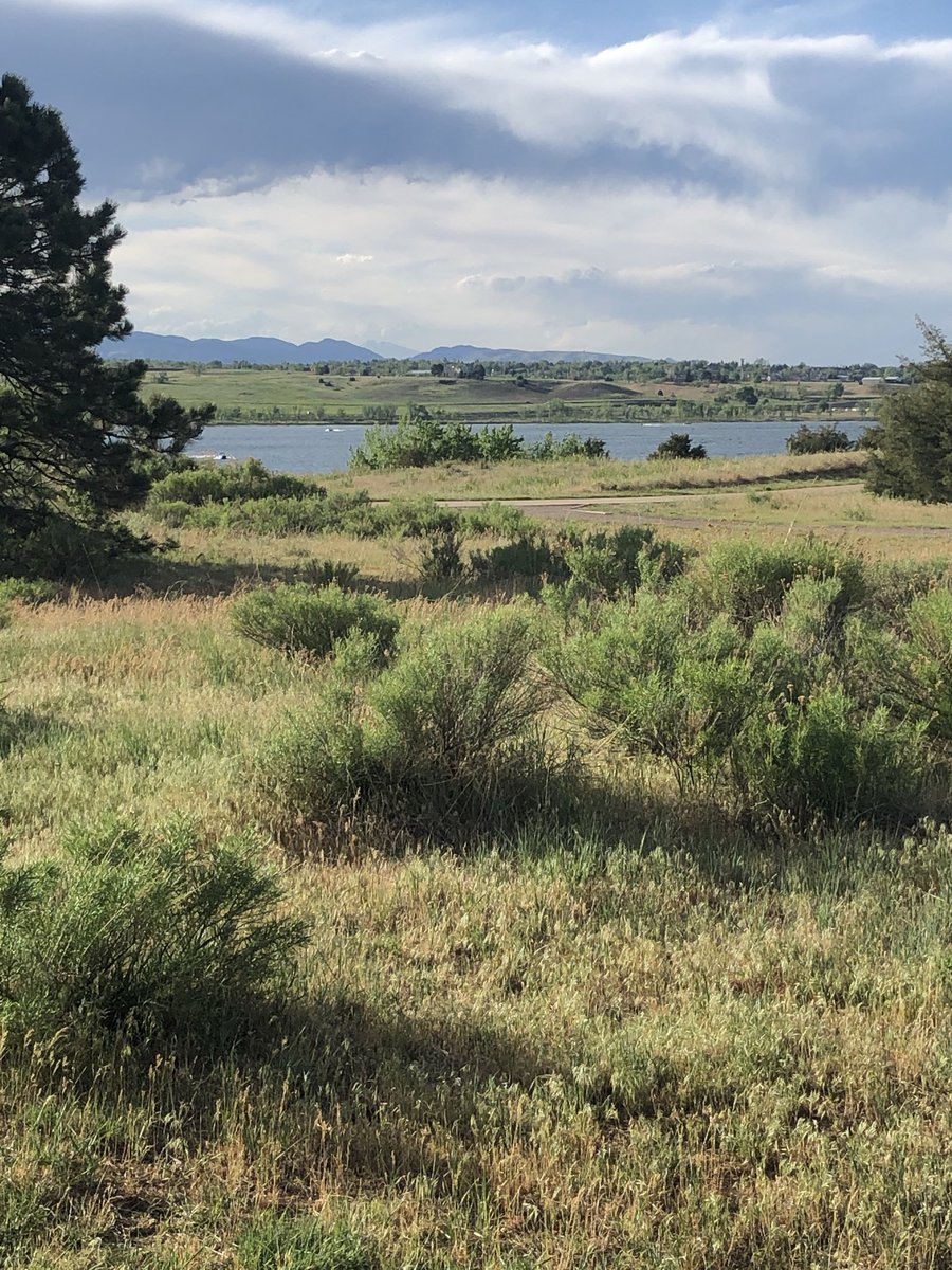 Current situation after a burner week of work.... first camping trip of the year!