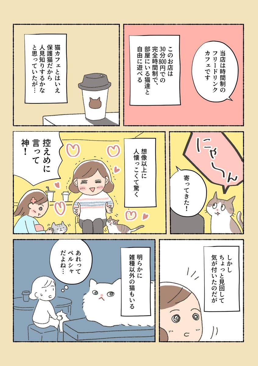 保護猫ちゃんをお迎えするまでの話⑤

保護猫カフェに行ってきました。 