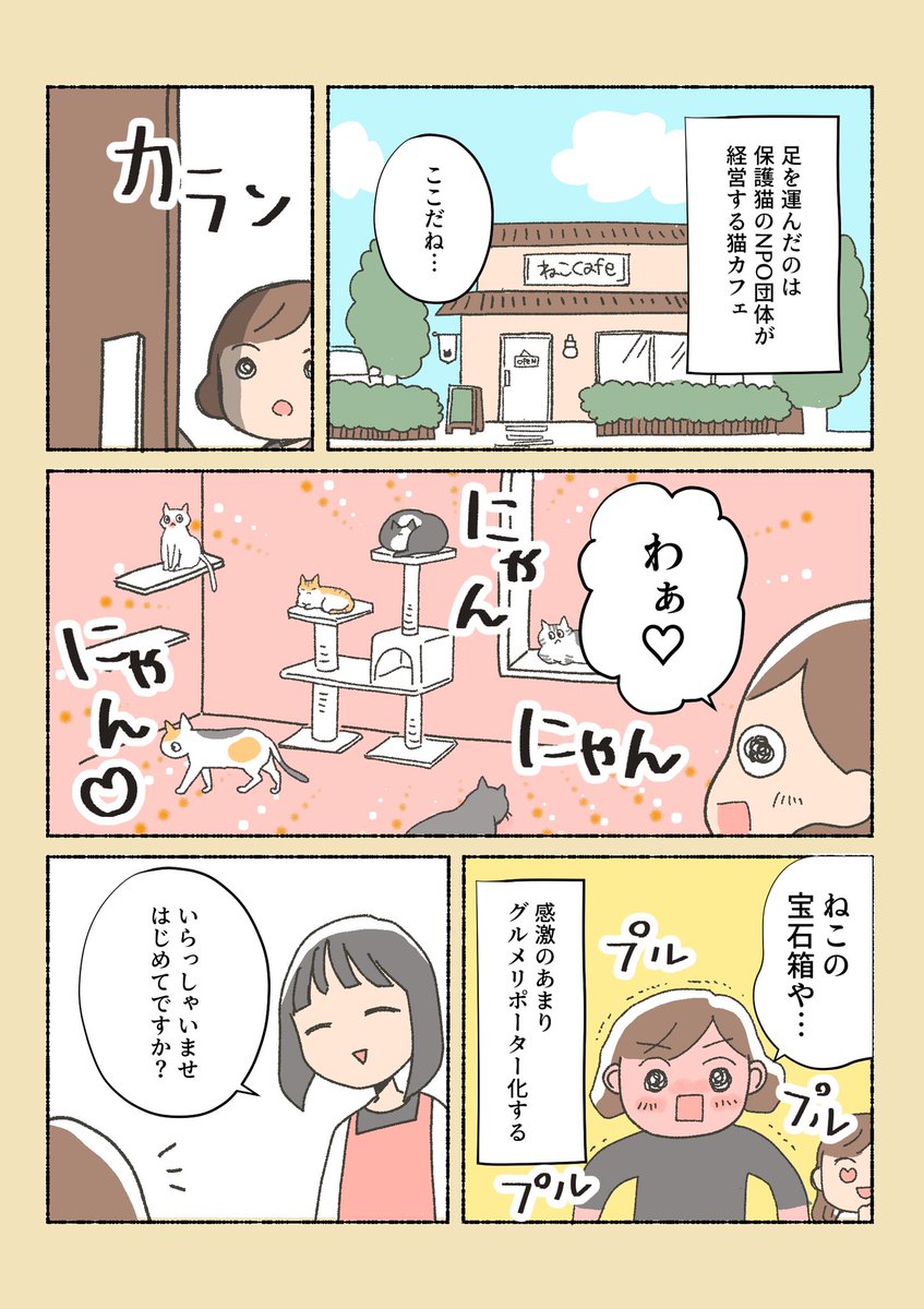 漫画 保護猫ちゃんを家に迎えるまでの話 が泣けるし勉強になるし猫さんがかわいいしでとりあえず見てほしい Togetter 漫画 保護猫ちゃんを家に迎えるまでの話 が泣けるし勉強になるし猫さんがかわいいしでとりあえず見てほしい Togetter
