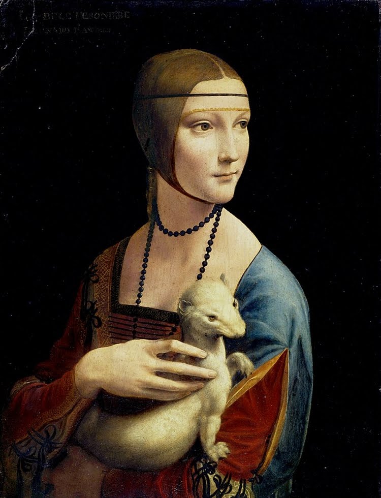 Da Vinci's white ermine asserts the "purity" of his subject...the pregnant 16 year old mistress of the Duke of Milan (Leonardo's employer). The Duke belonged to a knighthood called the Order of the Ermine, so some think this muscular weasel also symbolises his virility.