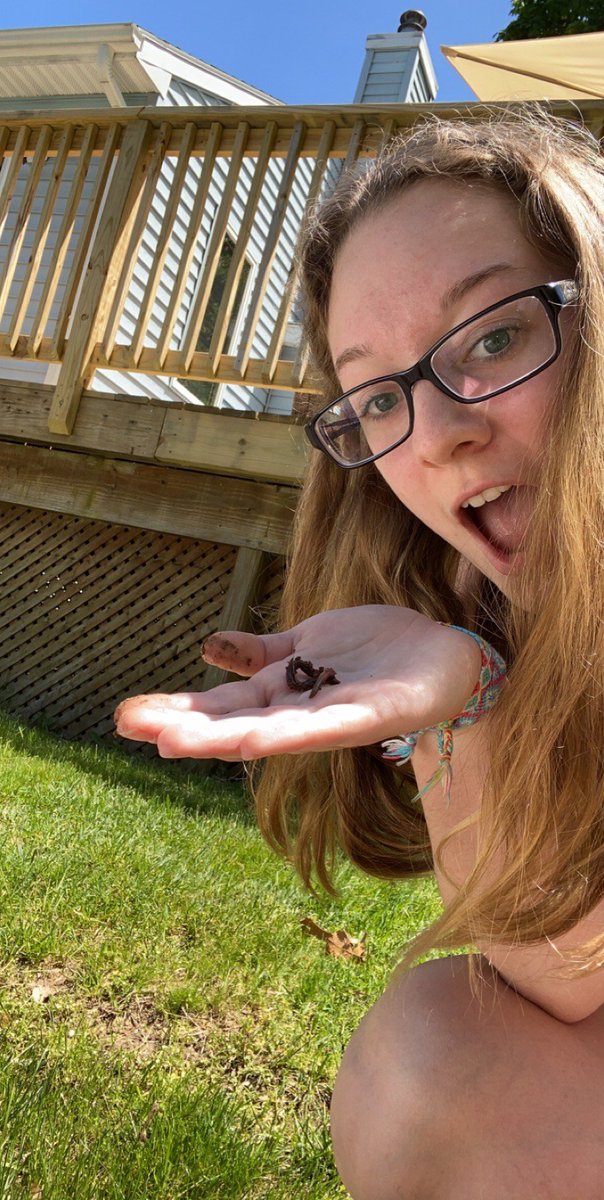 blue_council's tweet photo. Maggie holding a worm. And other collections from #VirtualFieldDay @Plainville2020 https://t.co/SrS0oUbHfo