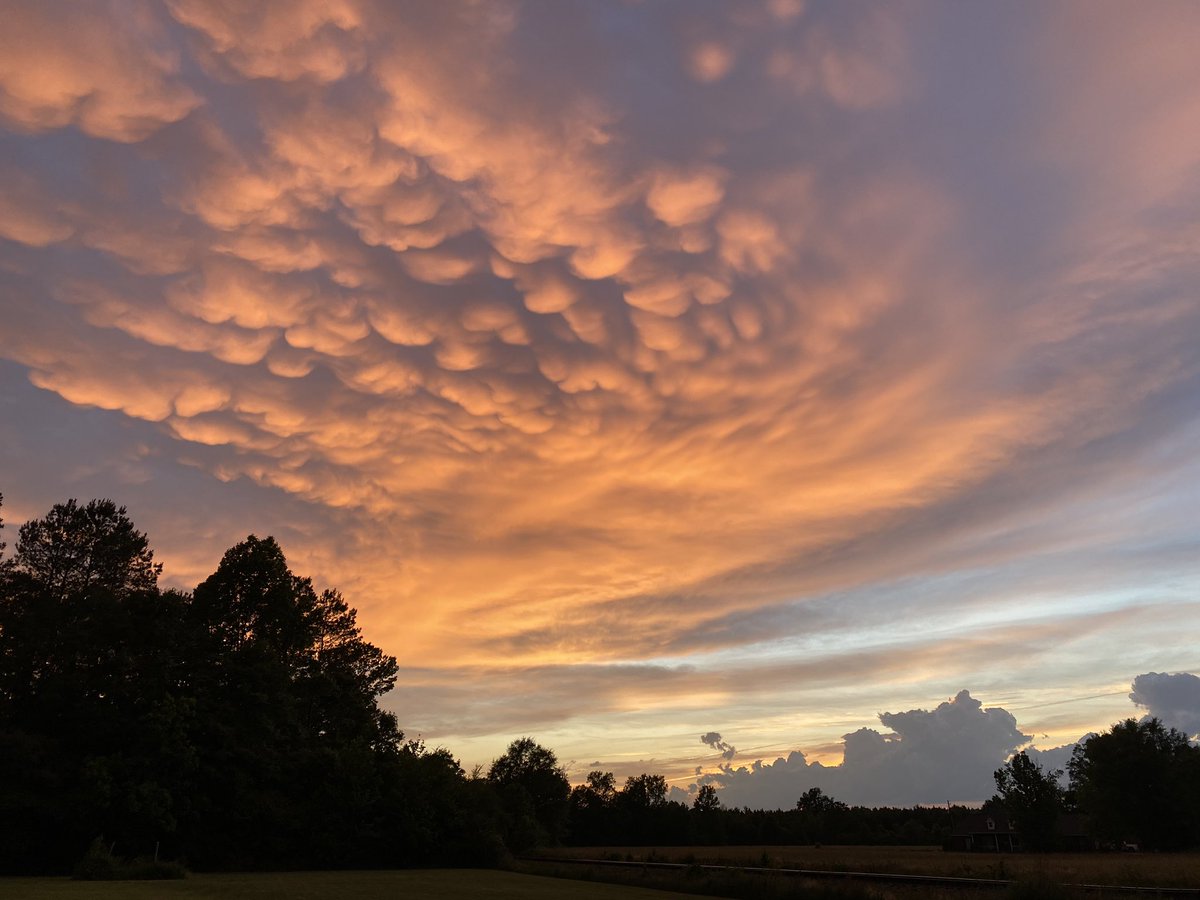 bellanewman's tweet photo. What a sunset! Pics just cannot capture it! #LamarCounty #GodsCreation 
@spann @WCBIWEATHER @weswyattweather https://t.co/wBDM6vqo5S