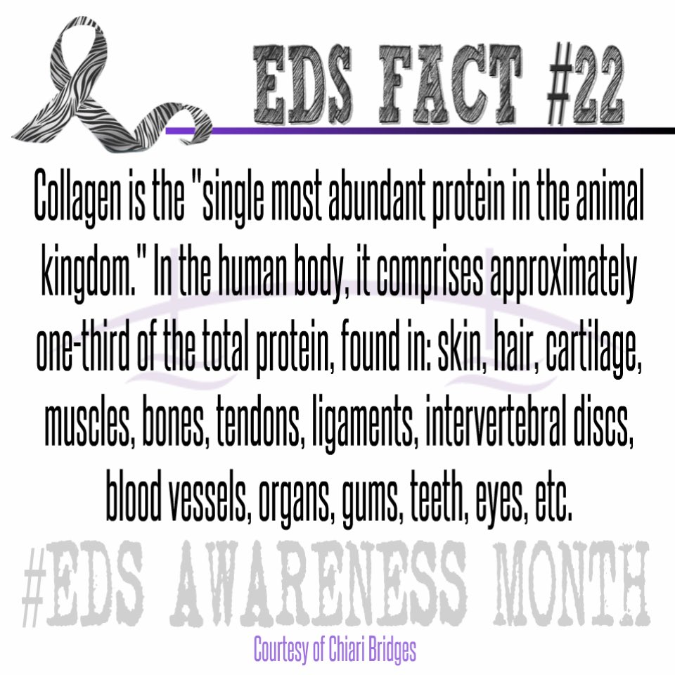 Nina_Fighter's tweet photo. EDS AWARENESS FACT DAY 22!
#EhlersDanlosSyndrome #EhlersDanlos #EDS #EDSAwarenessMonth #zebrastrong #issueswithmytissues https://t.co/PTaw4yd98D
