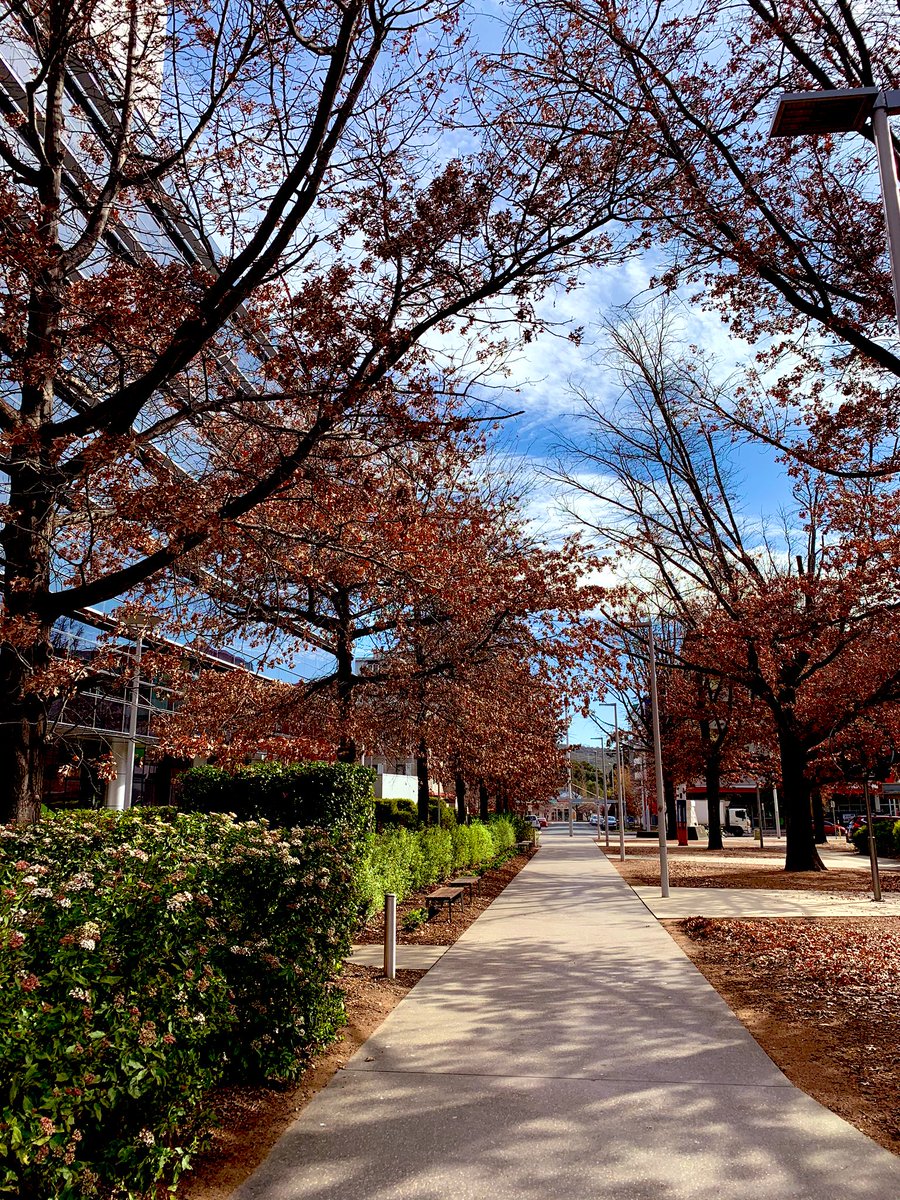 Xingshuo Huang tweet media