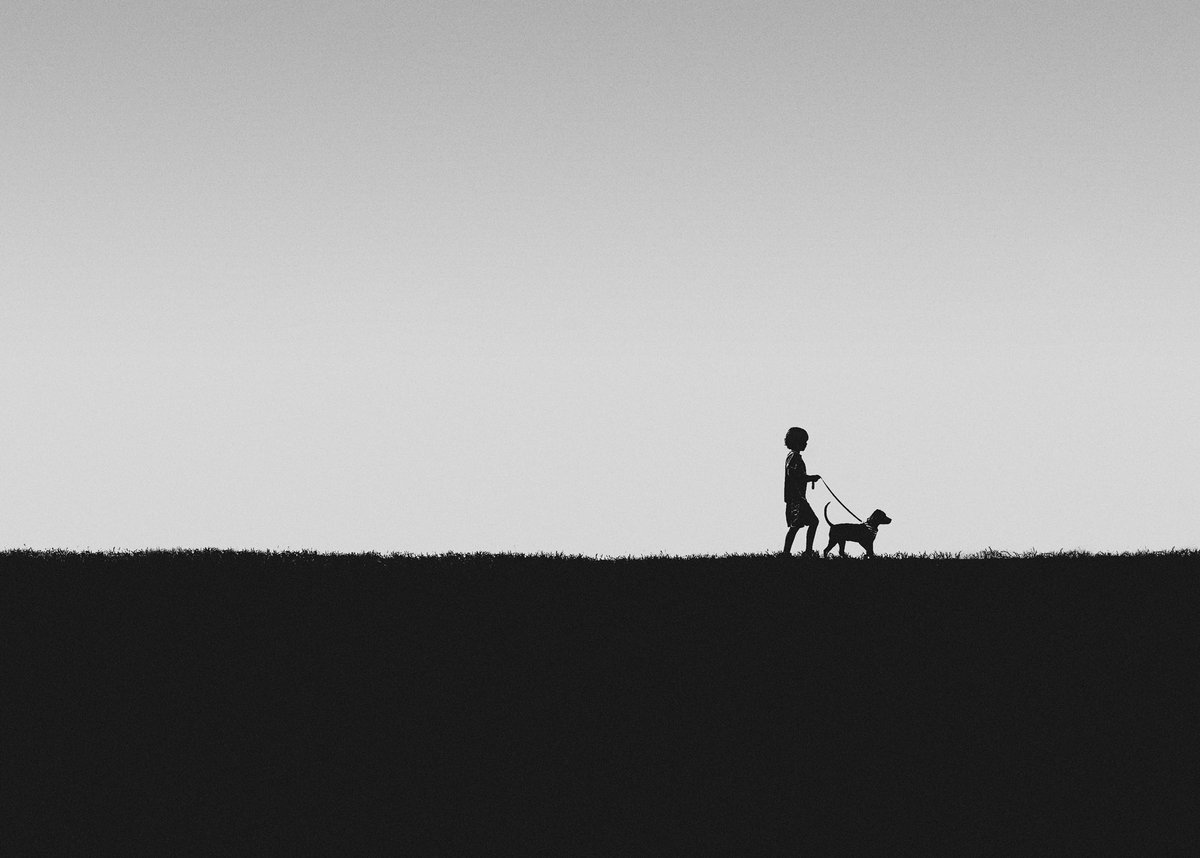 will_milne_'s tweet photo. @Lightroom My son walking his (then) puppy on a hill. https://t.co/HjkLqtJ2ld