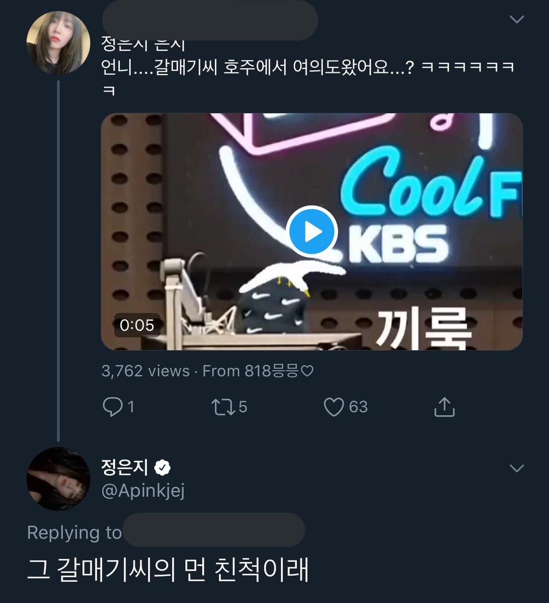 “Did mr/ms seagull from Australia come all the way to Yeouido?”: it mr/ms seagull’s relative “Eunji? Are you sexy?: agreed
