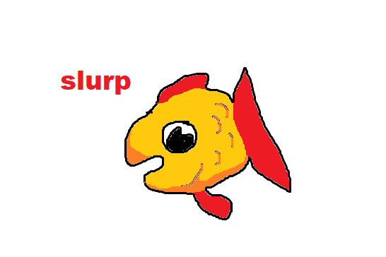 KELP ✈ tweet media