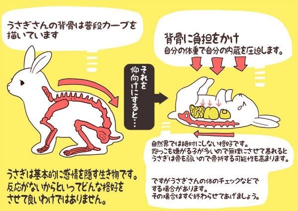 ごえもん 何年も前に拡散ok頂いていたのですが 今回 改めてok頂いたのでお名前を記載させて頂きます 今から拡散される方はこちらでお願いします うさぎの仰向け写真が最近また出回ってきているのですが とても危険です 大人しくなるのは酸欠で失神し