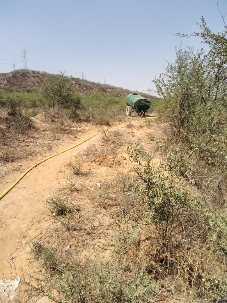 SaveAravali's tweet photo. May and June are critical for plants. We consider every plant as our baby and water them every 4th day.
Thanks for your support.
#Aravali #AravaliBachao #SaveAravali #BiodiversityDay2020 #environment #forest #plantation #Afforest #water #faridabad @moefcc @DC_Faridabad https://t.co/fmxULG7SCV