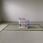 なかなか家具が届かないせいで･･･!まるでどうぶつの森1日目のような部屋に!