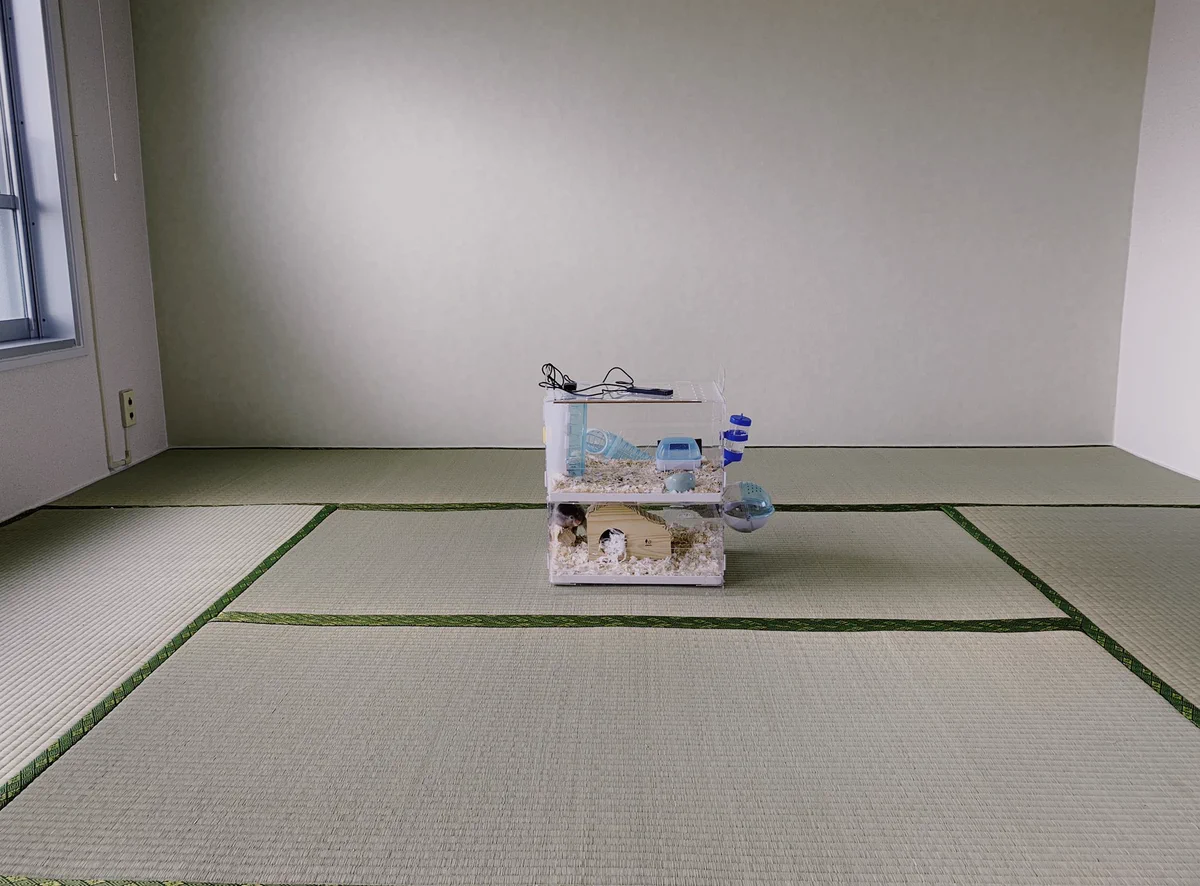 なかなか家具が届かないせいで･･･wwwまるでどうぶつの森1日目のような部屋にwww