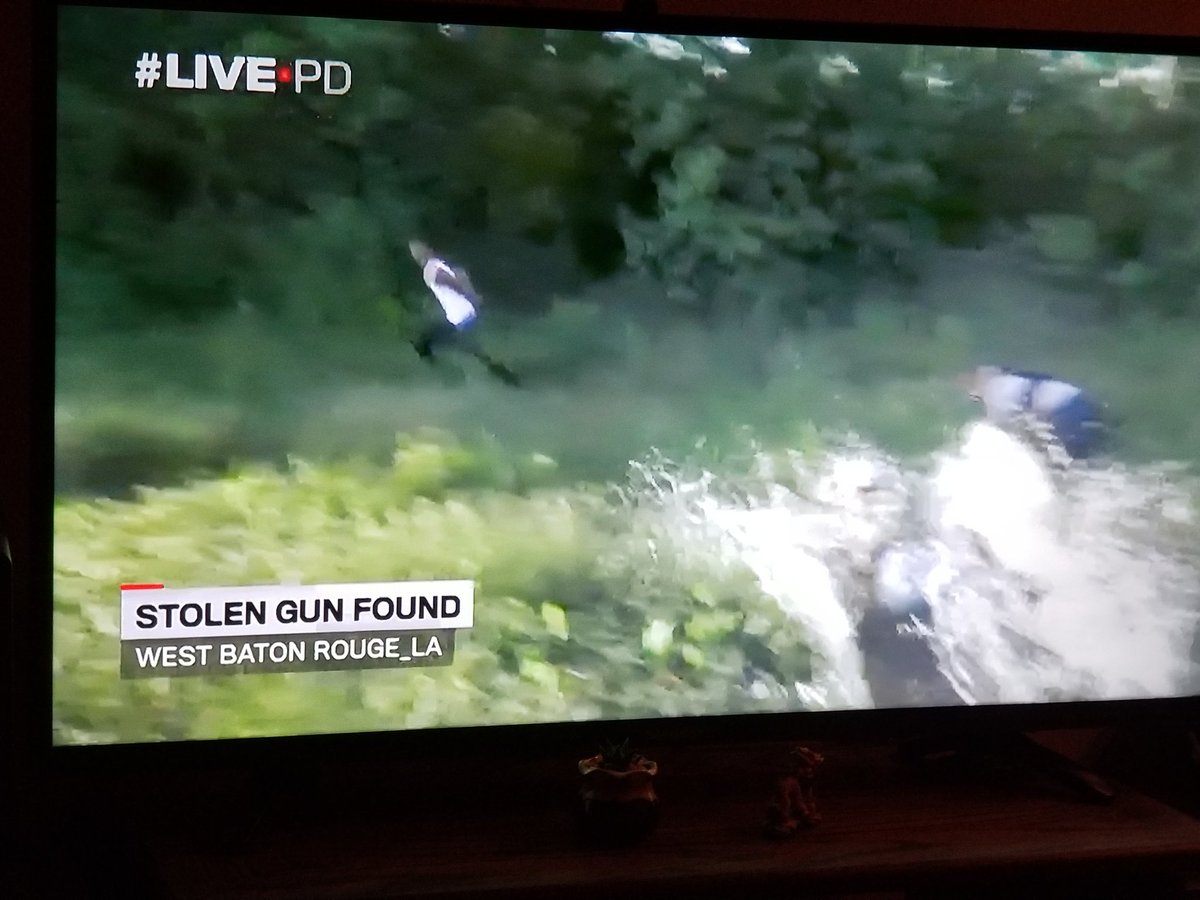 livepdk9srule's tweet photo. The lost dads are looking bad on this one! This episode bought to you by deputy's splish & splash! π€£π€£π€£π€£π€¦ββοΈ #LivePD #LivePDNation @livepdk9srule #petsoflivepd #dogsoftwitter #dogsofinstagram #dogsoflivepd #dogs #k9soflivepd #k9 #9PMRoutine #chiuahuahsoftwitter #LivePDDogNation https://t.co/8I0rqJyeR5