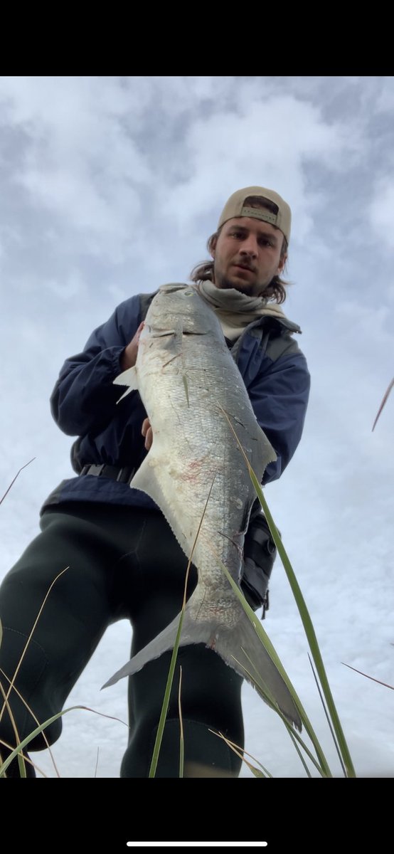 Capt.Pio (@captpio) on Twitter photo 