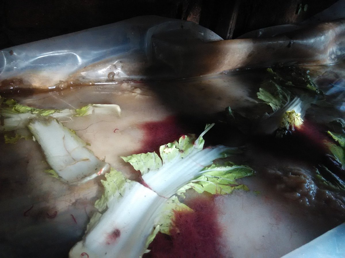 atknowledge's tweet image. Rak casut rumah 22 mei 2020