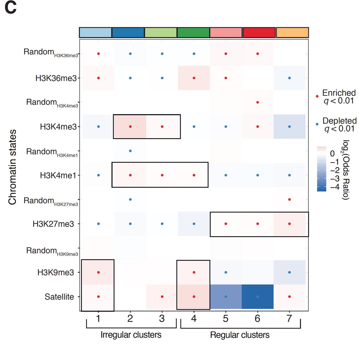 A major takeaway from all of our analyses is that chromatin is *very* heterogeneous in terms of pattern usage. Still, we do find that specific chromatin types (e.g. const. heterochromatin, H3K36me3 domains) are punctuated by specific classes of oligonucleosome pattern.