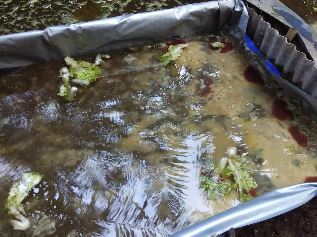 atknowledge's tweet image. Casut 22 mei 2020