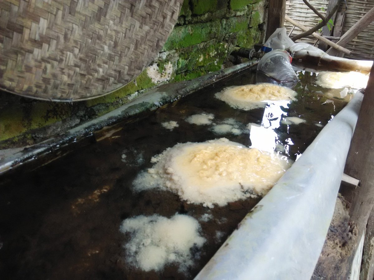 atknowledge's tweet image. Rak casut rumah 22 mei 2020