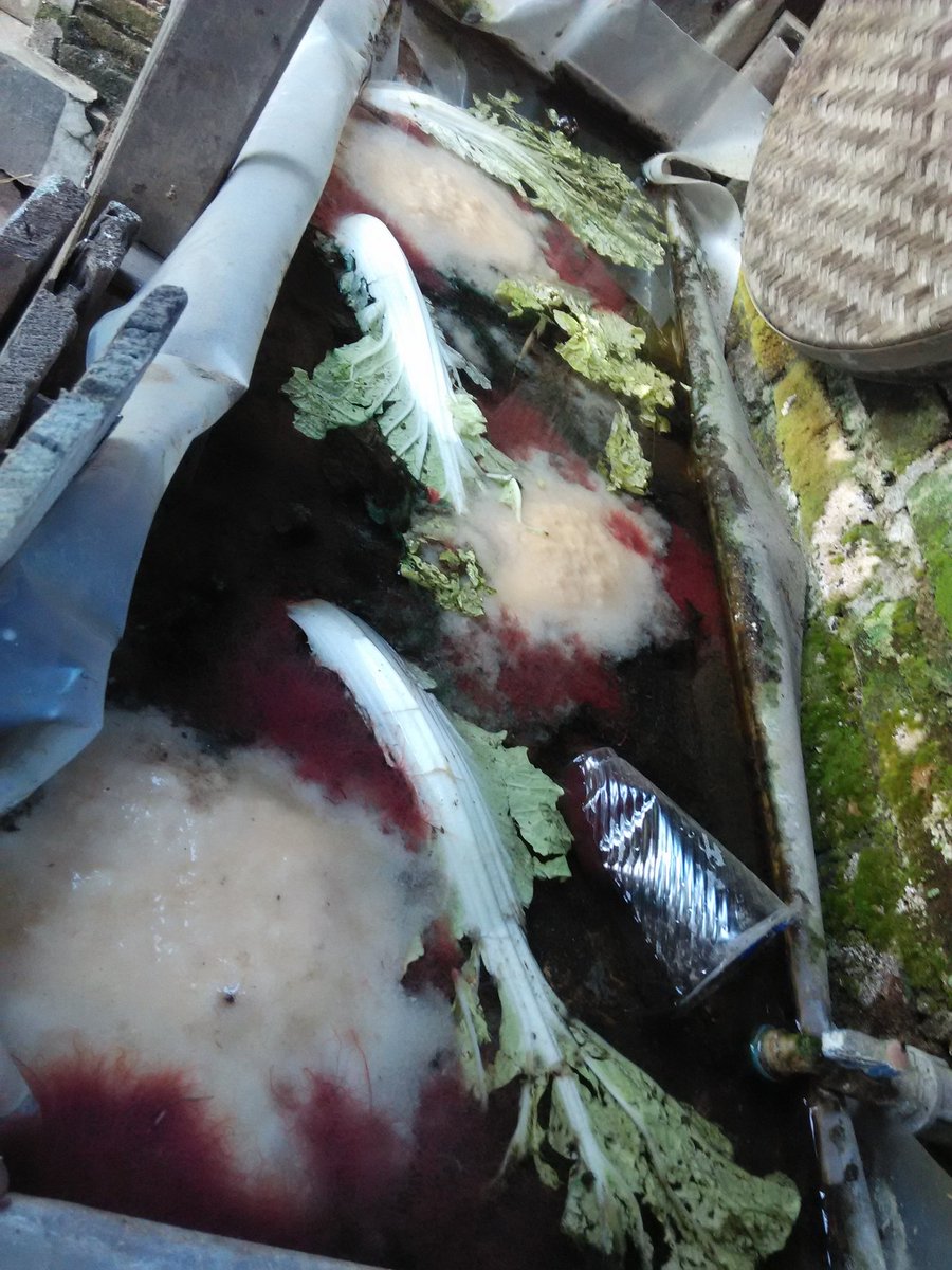 atknowledge's tweet image. Rak casut rumah 22 mei 2020