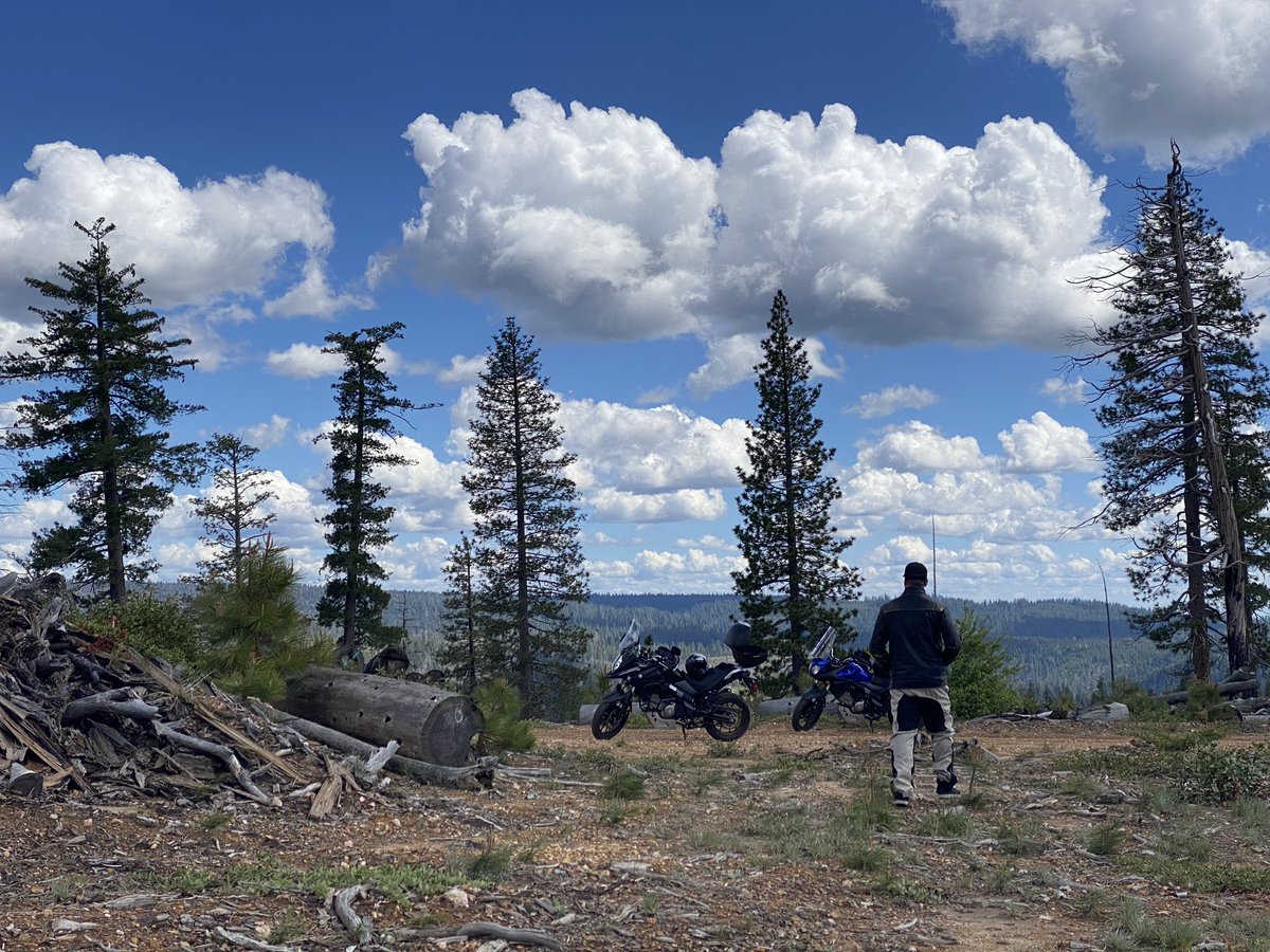 Bryan Bickel tweet media