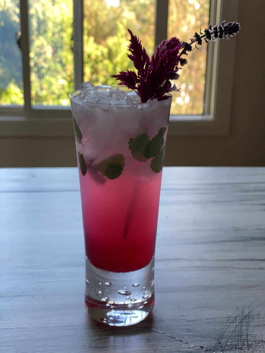 MrsJetTila's tweet photo. #QuarantineCocktail Friday! How I pretend to drink & how I really drink. 🤣 A version of a dragon fruit mojito this week. Rum, lime juice, @hailm dragon fruit syrup & club soda. I’m mixing in @microgreens lavender mint for a cool twist & their firestix and basil blossom garnish https://t.co/tIqvPmBlnz