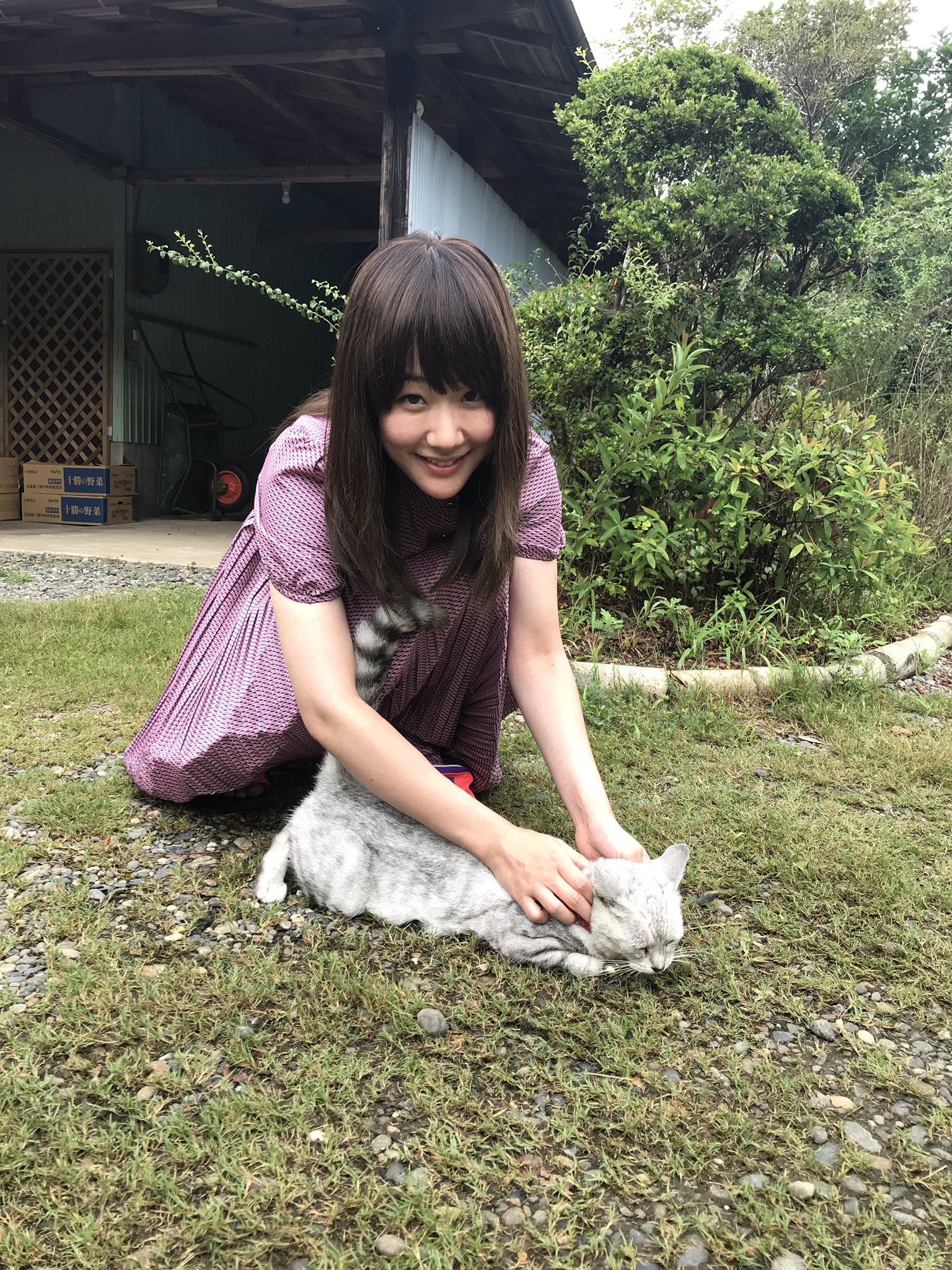 金曜ドラマ 凪のお暇 なぎのおいとま Tbsテレビ 凪のお暇 お家でイッキ見sp いかがでしたか トゥクントゥクン の余韻に浸り ステイホーム パラビ で何度でも 凪ちゃん 慎二 ゴンちゃん に会える 黒木華 高橋一生 中村倫也 金曜ドラマ 凪のお暇 なぎのおいとま Tbsテレビ 凪のお暇 お家でイッキ見sp いかがでしたか トゥクントゥクン の余韻に浸り ステイホーム パラビ で何度でも 凪ちゃん 慎二 ゴンちゃん に会える 黒木華 高橋一生 中村倫也