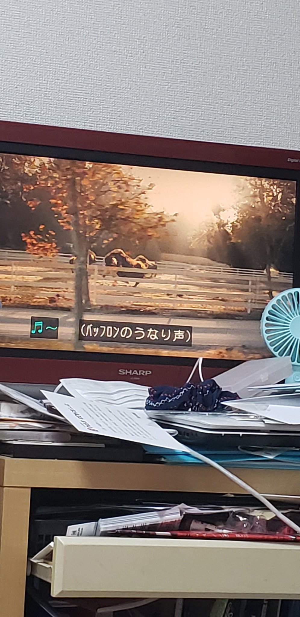 ｻｰﾋﾞｨ 渡辺謙さん 大好き 伊達政宗の世代かな ラストサムライから ハリウッドの日本人スター あの放映時 渡辺謙さんといえば ポケモンとゴジラと夢の共演している ミュージカルスターと 王様と私の主演で 凱旋もあったから 渡辺謙の世界再