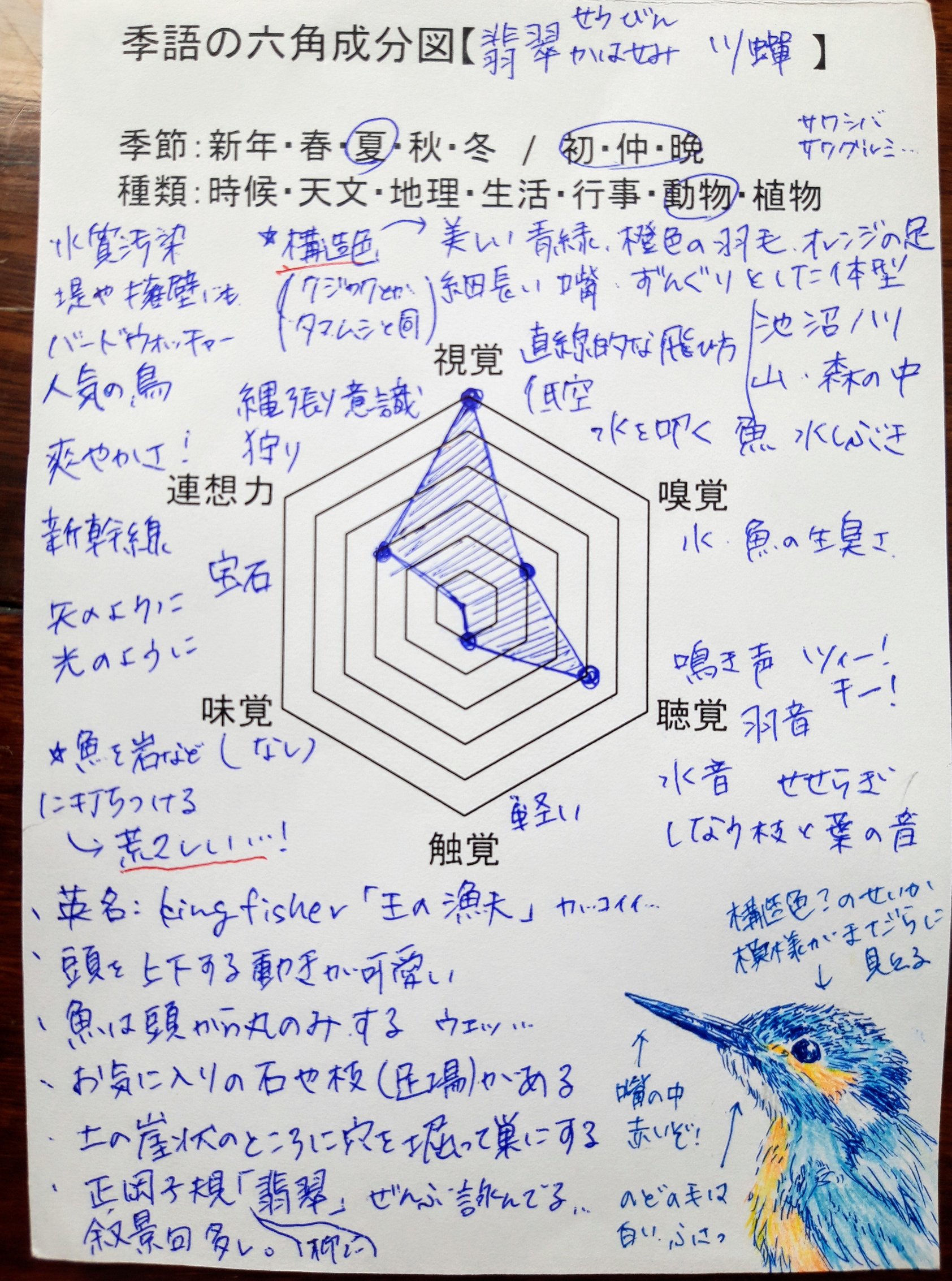 碧西里 季語六角成分図 翡翠 とても美しく目立つ鳥 見れば見るほど模様や色味は複雑で繊細 バードウォッチング人気 狩りは雄々しく荒々しい一面も 人気の鳥ゆえ叙景句が多い 特に正岡子規が翡翠の句を沢山残していて もう詠めるとこ全部